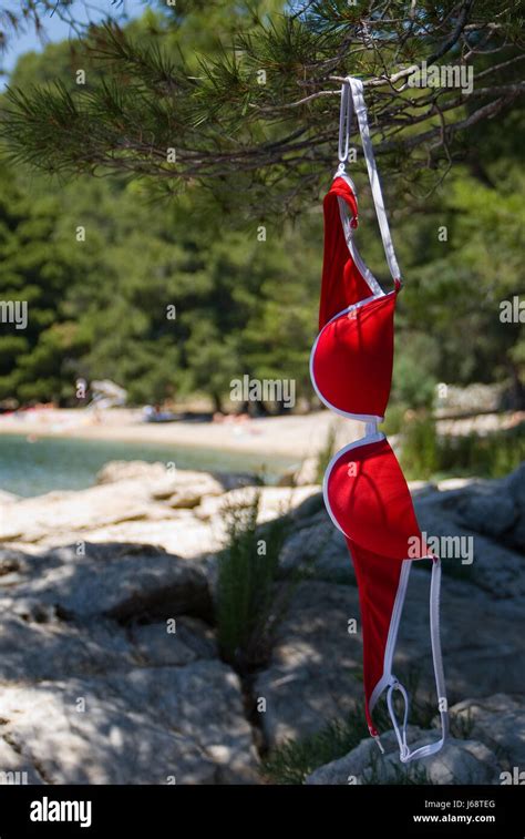 exhibitionist beach|3,704 Naturism Stock Photos and High